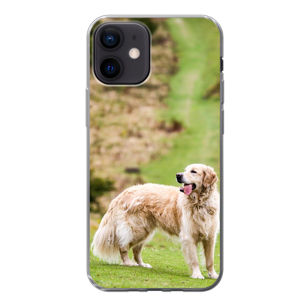 MuchoWow Handyhülle Schutzhülle Hülle für iPhone 12 Schönes Bild eines Golden Retrievers Silikon Softcase Handy Hülle - Schutzhülle