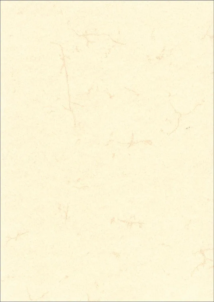 Papier pour documents Peau d'Éléphant Blanc 190g A4 RNK Verlag - 10 pièces