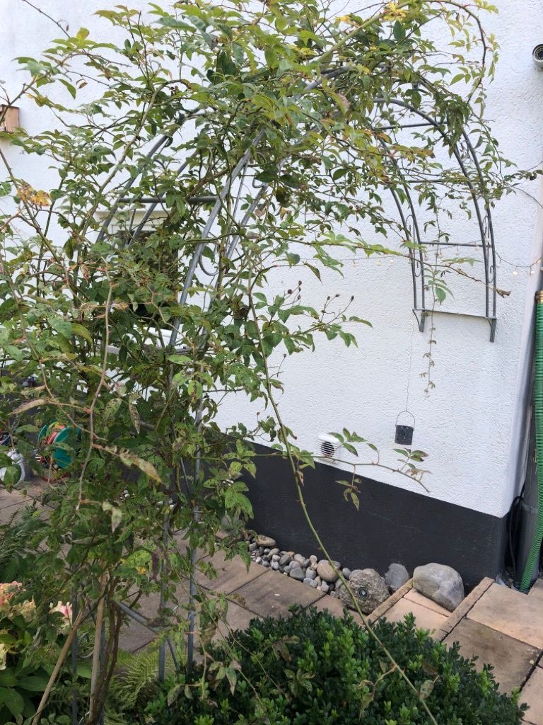 WANDROSENBOGEN HOLLAND Rund Gesamtbreite 1,60 m Edelrost Gardendeko Pergola Metallrosenbogen Gartenbogen Rosensäule Arches de Rose Pergola Rozenboog