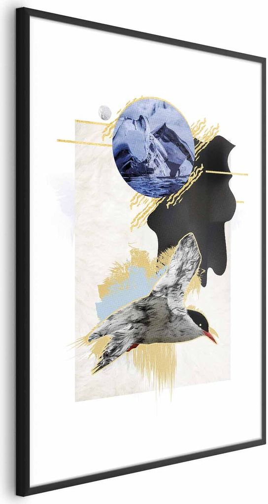 Posterpapier Poster - Antarctic Tern 40x60 cm Tiere g-A-0164-ao-a