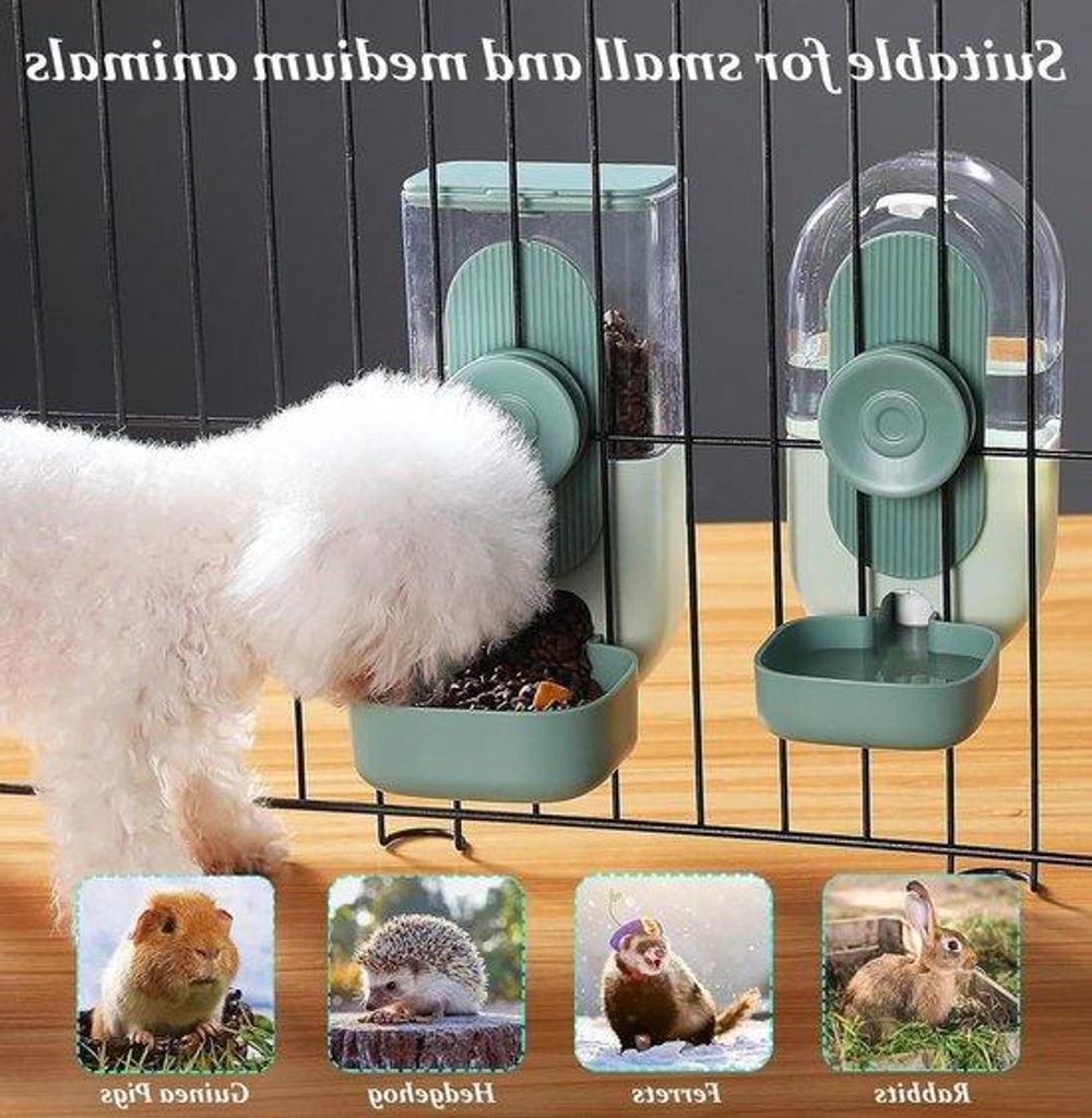 Automatischer Futterspender für kleine Tierkäfige grün