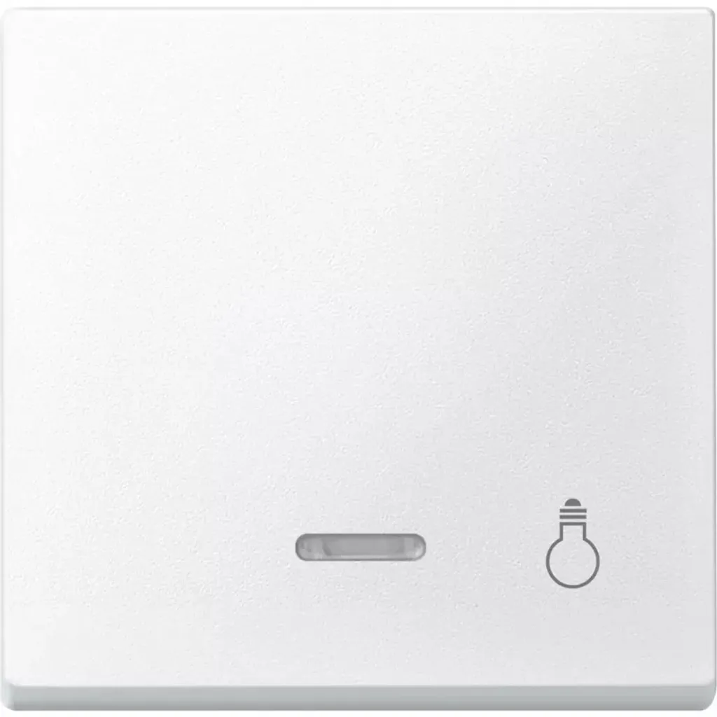 Bascule avec Fenêtre de Contrôle Blanc Polaire Merten 430919 Système M