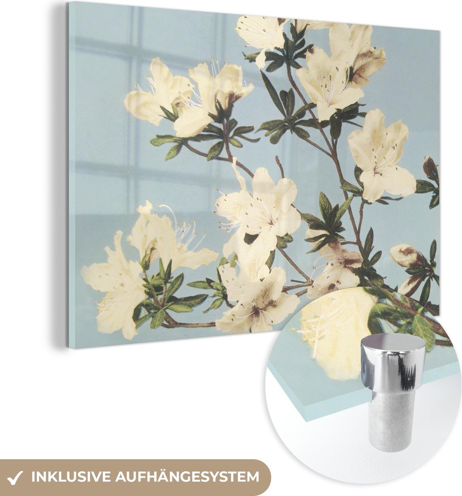 MuchoWow Glasbilder - Bilder auf Wandbild - Foto auf Glas Vintage - Blumen - Weiß - Natur 120x80 cm Wanddekoration aus Glas - Acrylglasbild - Acry...