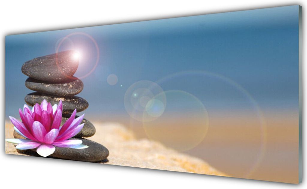 Acrylglasbilder 125x50 Wandbild Druck Steine Blume Kunst
