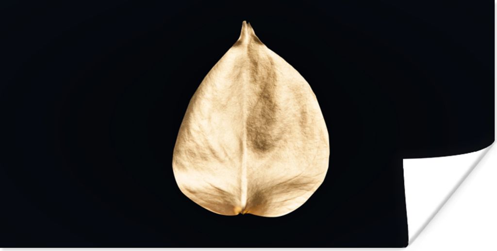 MuchoWow Poster Blätter - Schwarz und Gold - Schwarz - Gold - Luxus 160x80 cm - Foto Poster