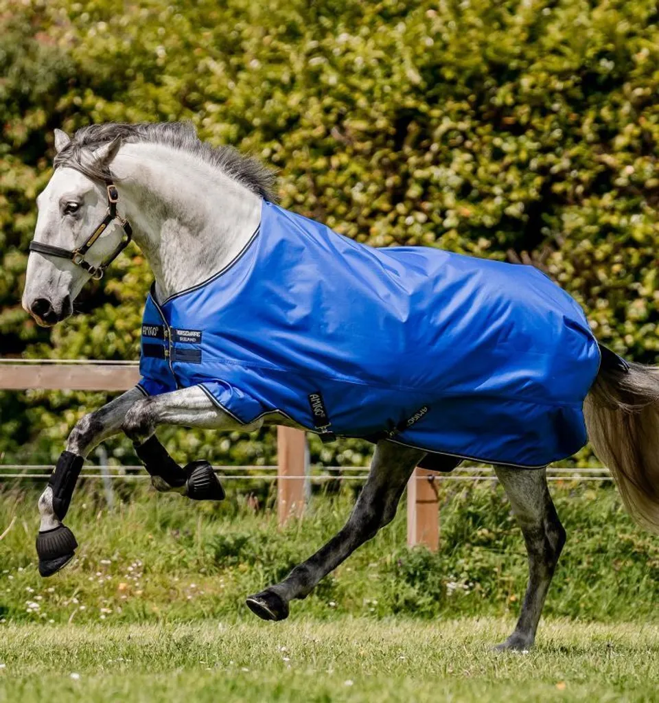 Horseware Amigo Hero Ripstop 50g: Tappeto Pioggia Cavallo 160cm Blu