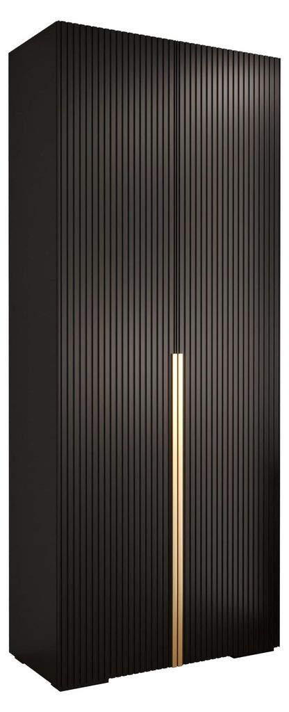 Kryspol - Kleiderschrank Schwarz, 2 Tür, 1 Modul 100x236,7x47cm, Manhattan Ryfel 9
