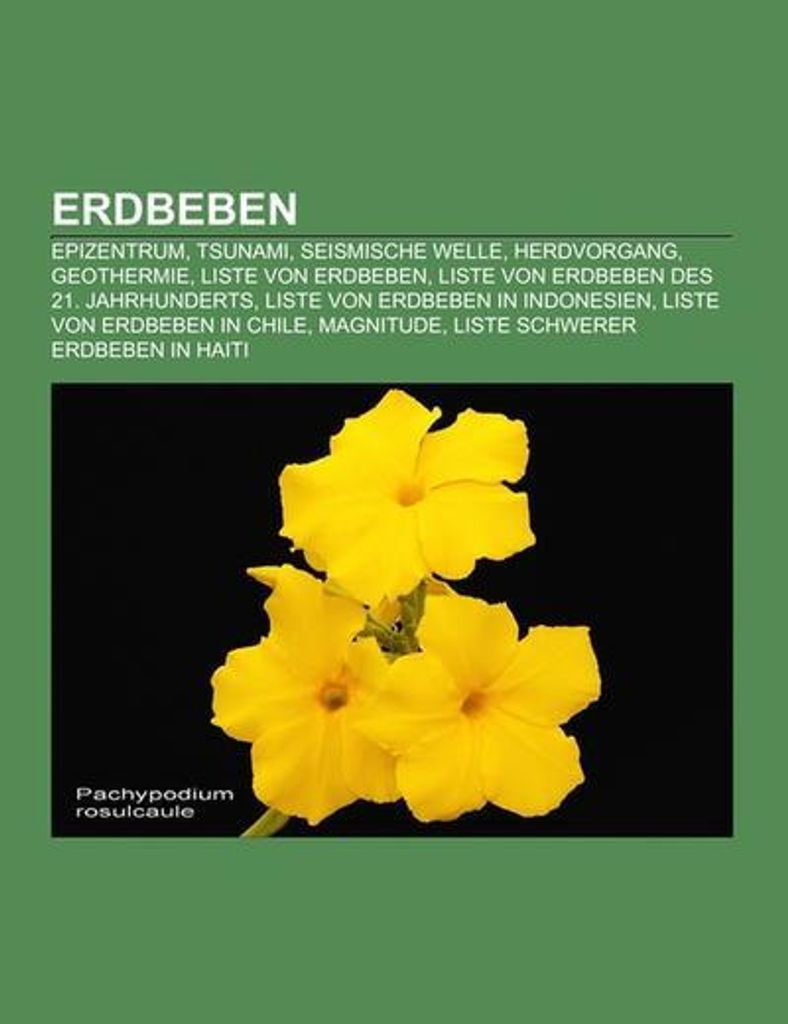 Erdbeben