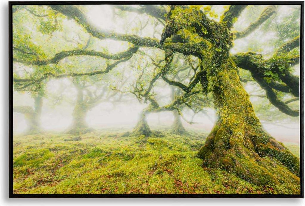 Wandbild Cornice 60 x 90 x 4 cm Metall Pinie Canvas Mehrfarbig,