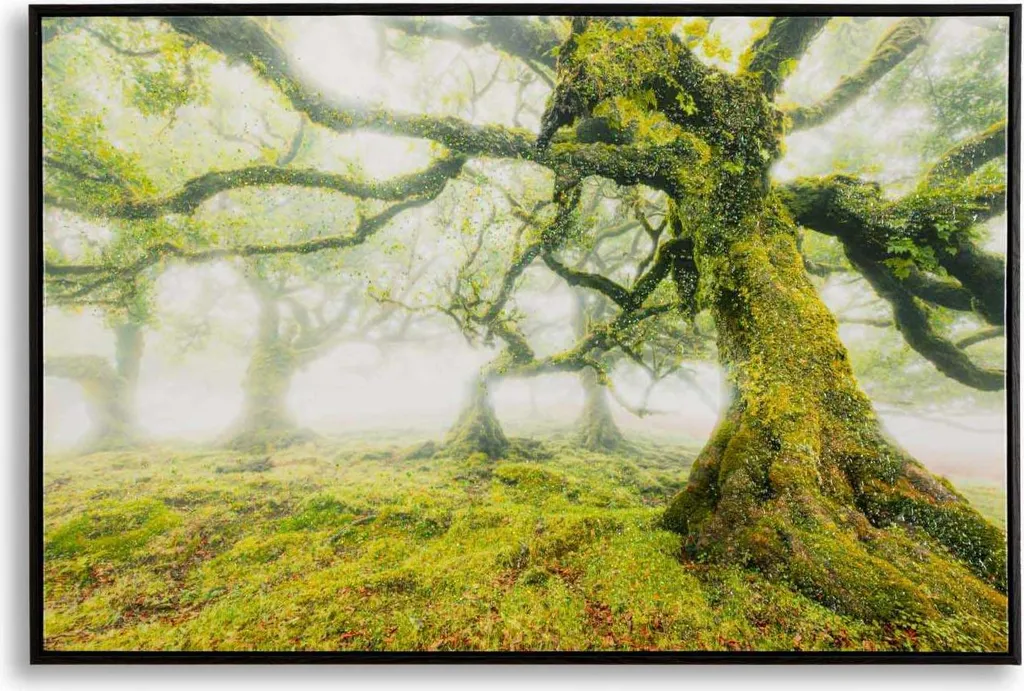Grand tableau mural sur toile vernie avec cadre en bois 90x4x60 cm