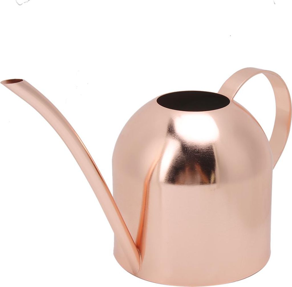 1000ml Edelstahl Gießkanne Sprinkler Topf Langer Mund Garten Blumen Pflanzen Wasserbehälter