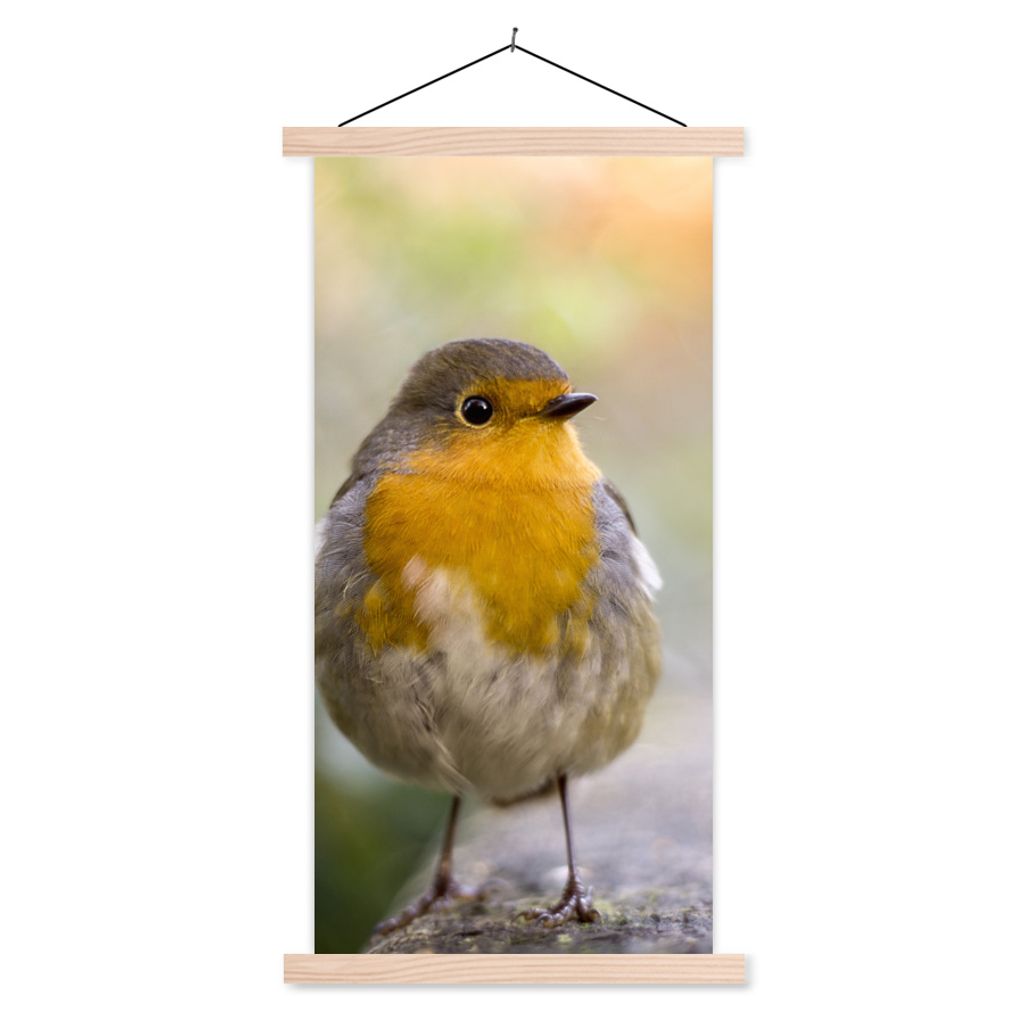 MuchoWow Textilposter Vögel - Rotkehlchen - Baum 60x120 cm mit holzfarbenen Rahmen - Holz