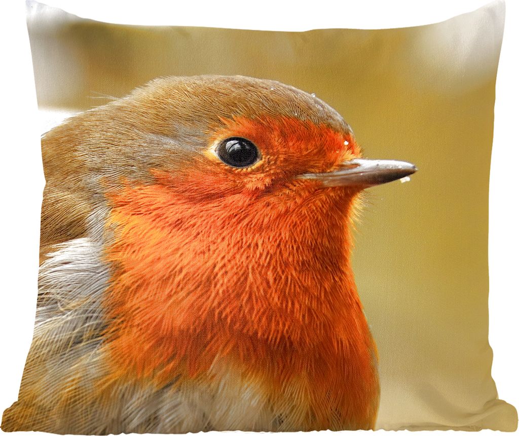 MuchoWow Zierkissen Sofakissen Wohnzimmer Dekokissen 50x50 cm Vogel - Rotkehlchen - Porträt - Komfort - Sofakissen
