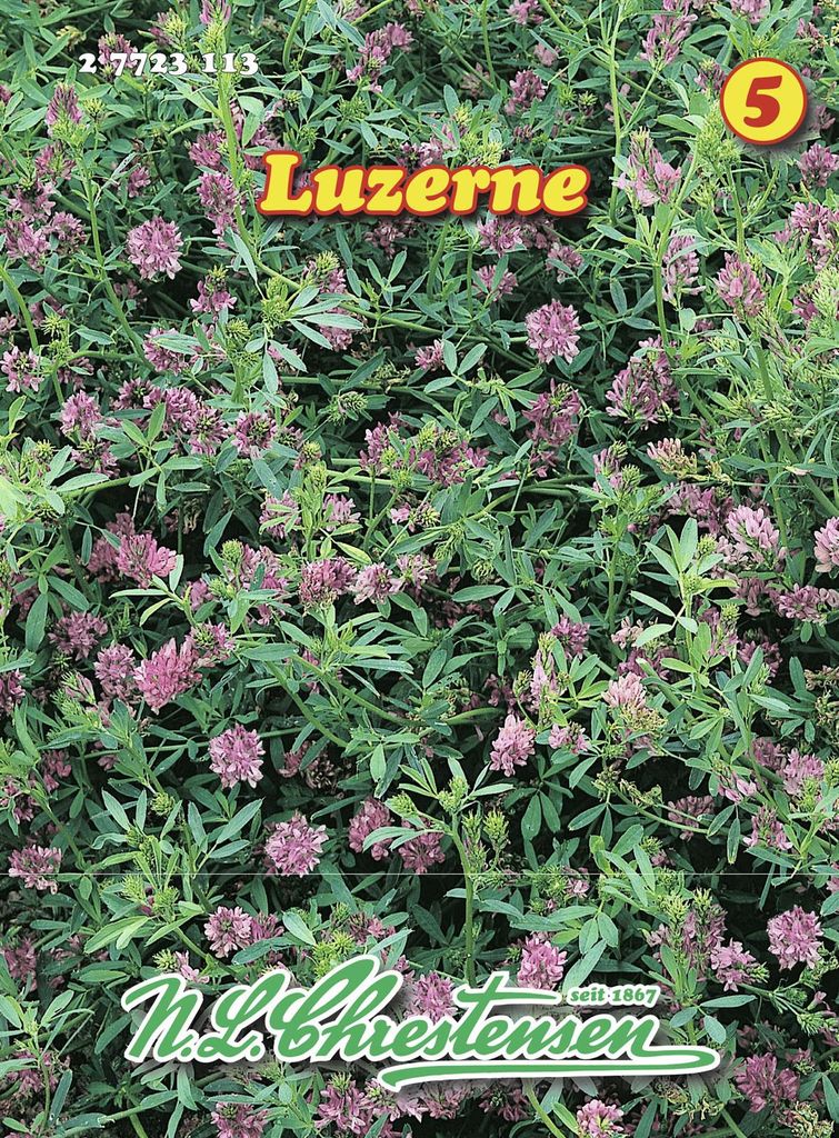 Artikelbild 1 von 'Luzerne' aus der Kategorie Gründünger & -düngung