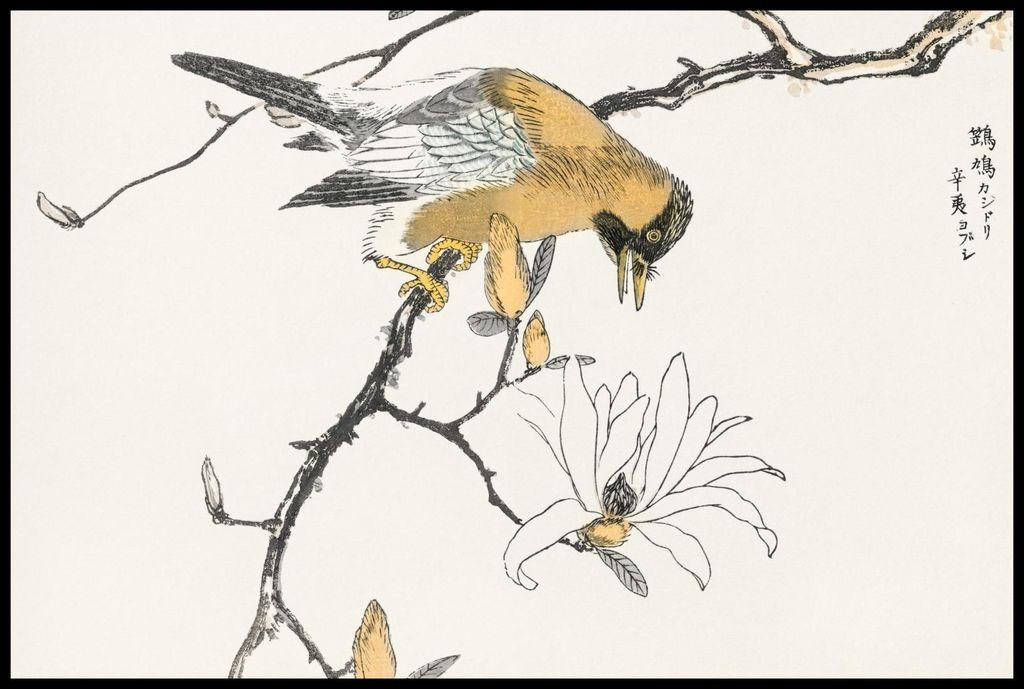 Plakat 91,5x61cm Tibetischer Wiedehopf, Japanischer Kashu Vintage