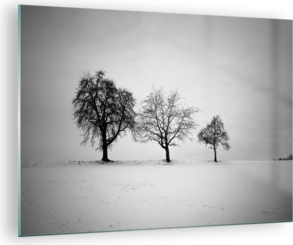 Bilder auf glas - Einteilig - Winter Bäume Schnee - 70x50cm - Glasbilder - Wandbilder - Bilder - zum Aufhängen bereit - Wanddekoration aus Glas -...