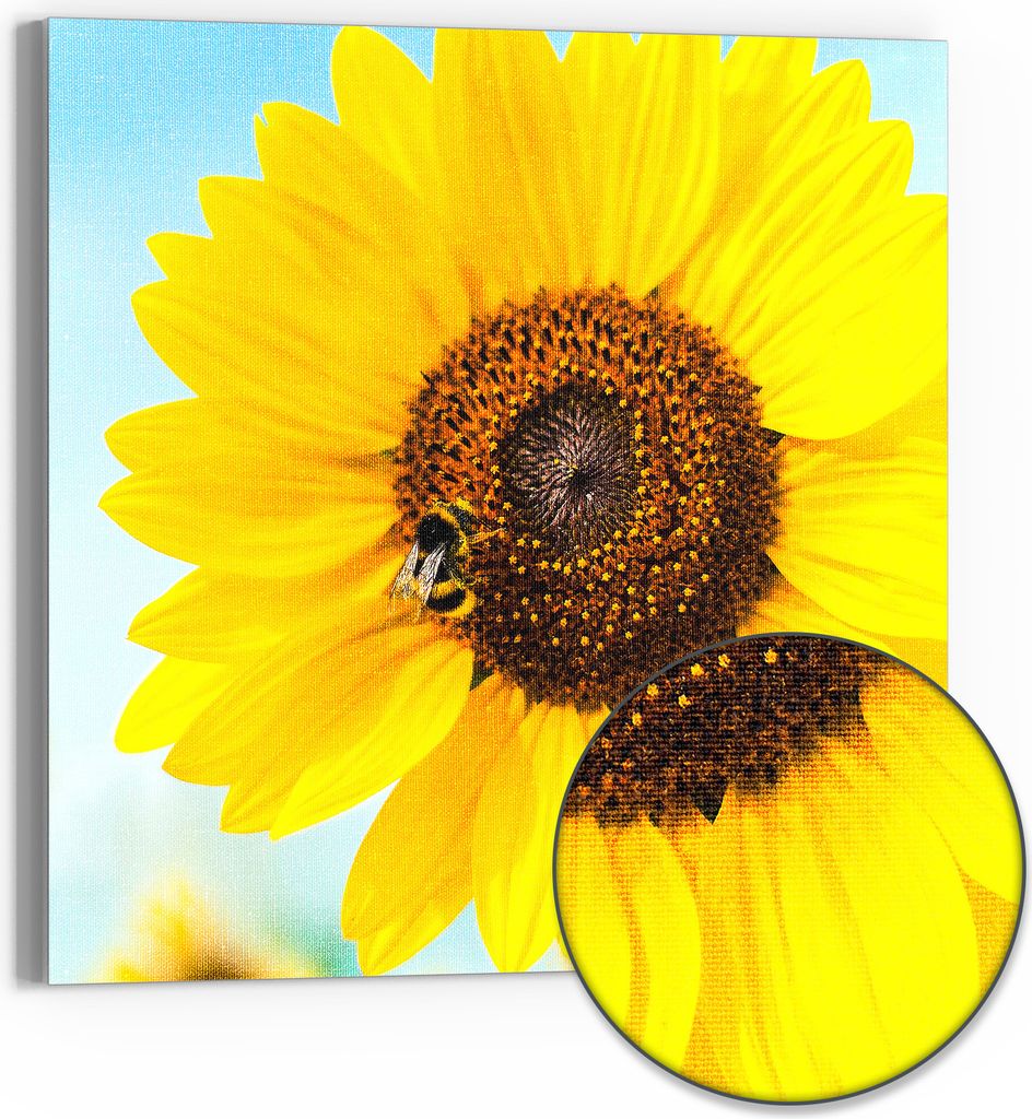 DEQORI Hybrid Leinwand Bild 50x50 cm 'Strahlender Sommerzauber' Wandbild Glas flach modern