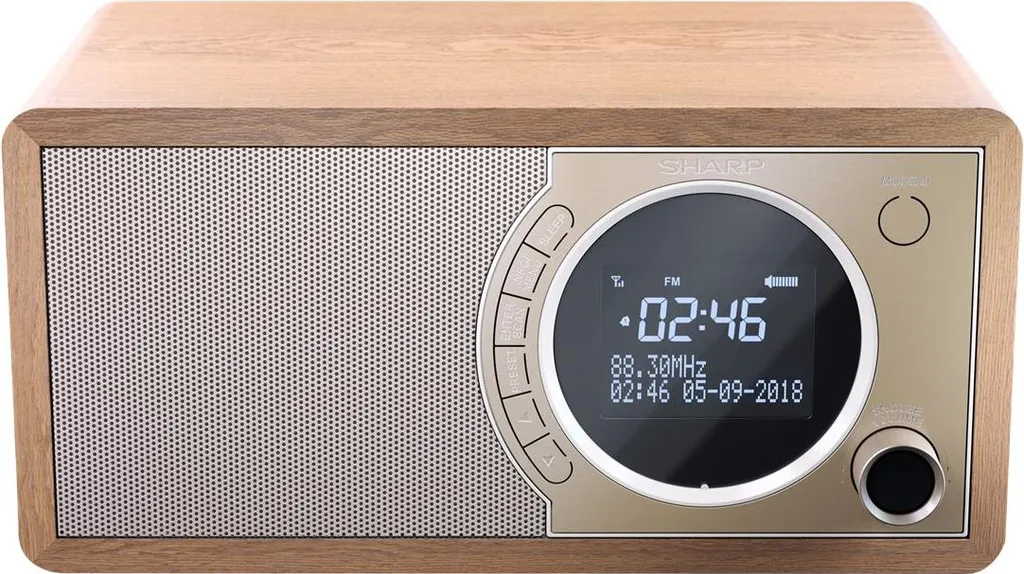 Radio Numérique DAB+ Sharp DR-450(BR) avec Enceinte Bluetooth en Bois - 13