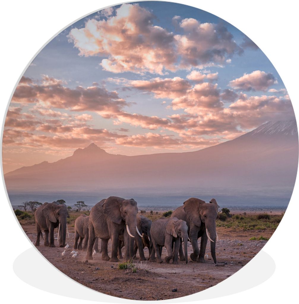 MuchoWow Rundes Wandbild - Runde Bilder Elefant - Tiere - Abend - Landschaft - Savanne Ø 60 cm Kreis Wanddekoration Kunststoff - Wandkreis - Wan...