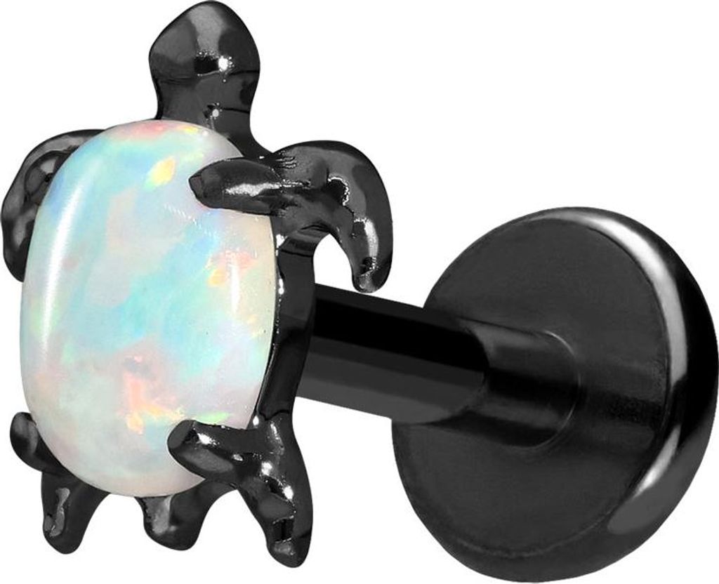 Ohrpiercing, Nasenpiercing Titan Labret mit Push Fit SCHILDKRÖTE Schwarz Stablänge: 8mm | Stabstärke: 1,2mm