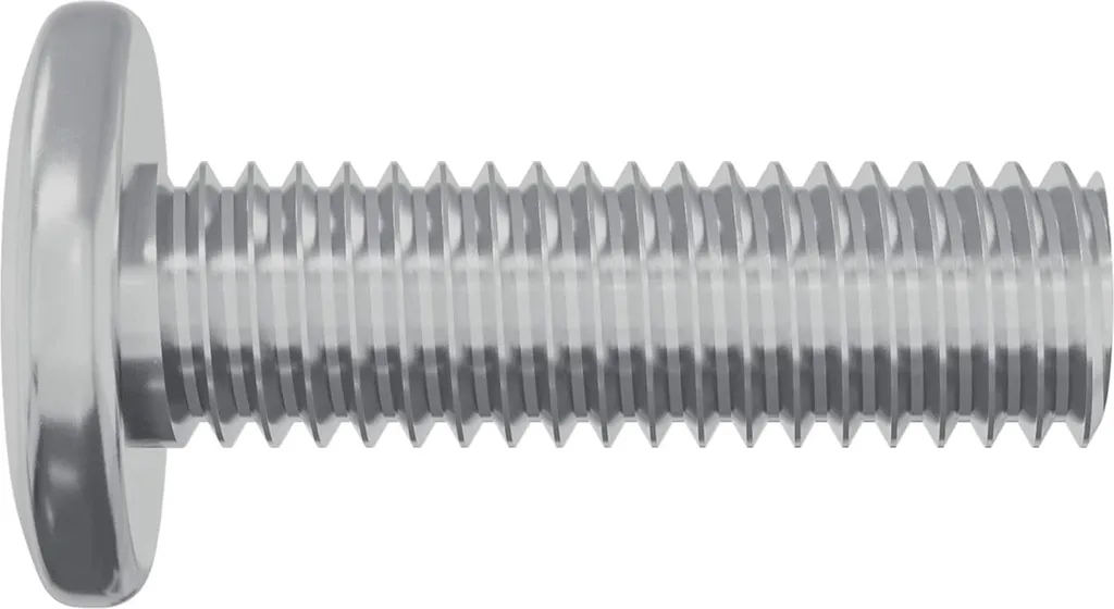 Vis 8 x 25 mm acier argenté 1593 pcs pour ne plus manquer de matériel