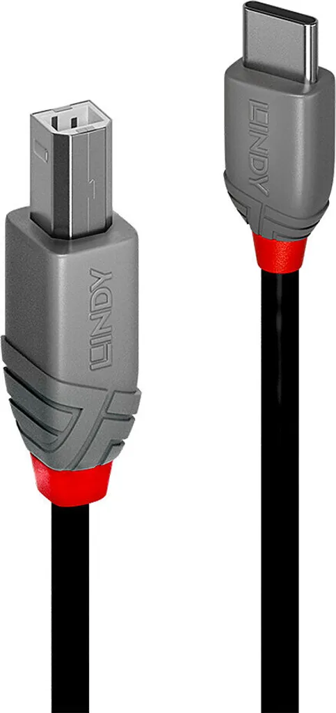 Cavo DAC USB-C a B Lindy Anthra 0.5m: Fedeltà Audio Digitale