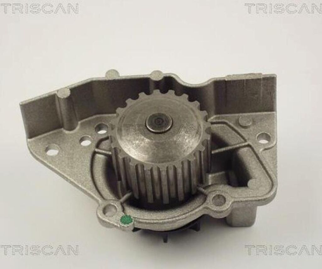 TRISCAN Wasserpumpe 8600 28916