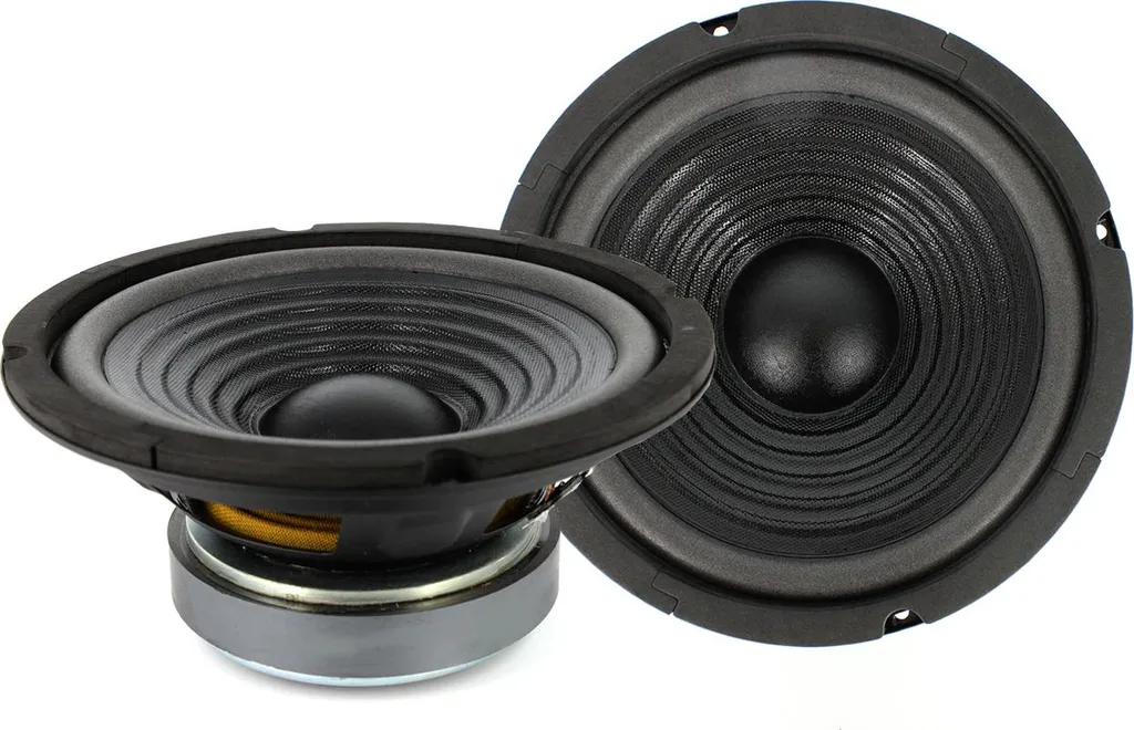 Réparez votre enceinte avec le haut-parleur HSP 003 200mm 100W 200W