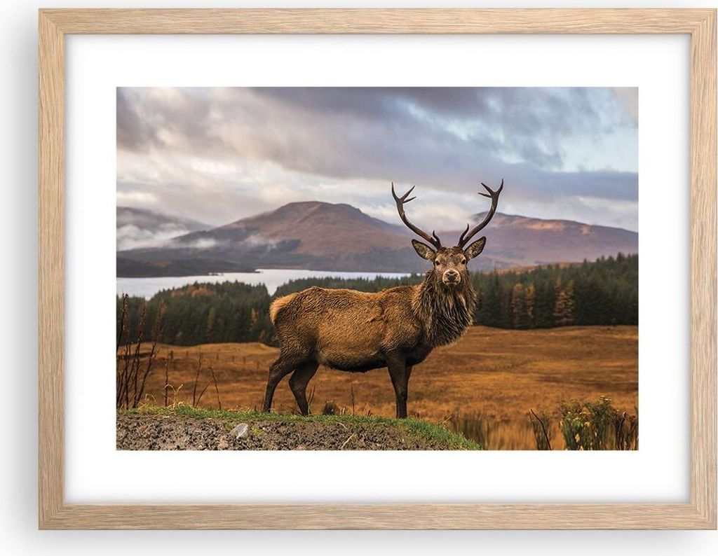 Gerahmtes Poster - Rahmen in heller Eiche - Rehe Wiese Berge - 40x30 cm - Wand Bild - Wanddeko - Wandbilder - Kunstposter - Wandposter - Bilderrahm...