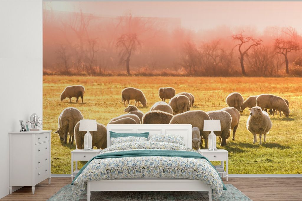 MuchoWow Fototapete für Wohnzimmer oder Schlafzimmer Wandtapete Vinyl Motivtapete Tiere - Schafe - Gras - 525x350 cm - Das Hintergrundbild