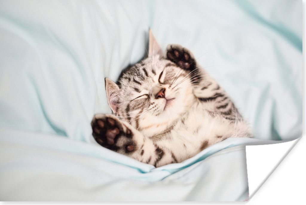 MuchoWow Poster Kätzchen - Lustig - Bett - Kinder - Jungen - Mädchen - Kinder 120x80 cm - Bilder