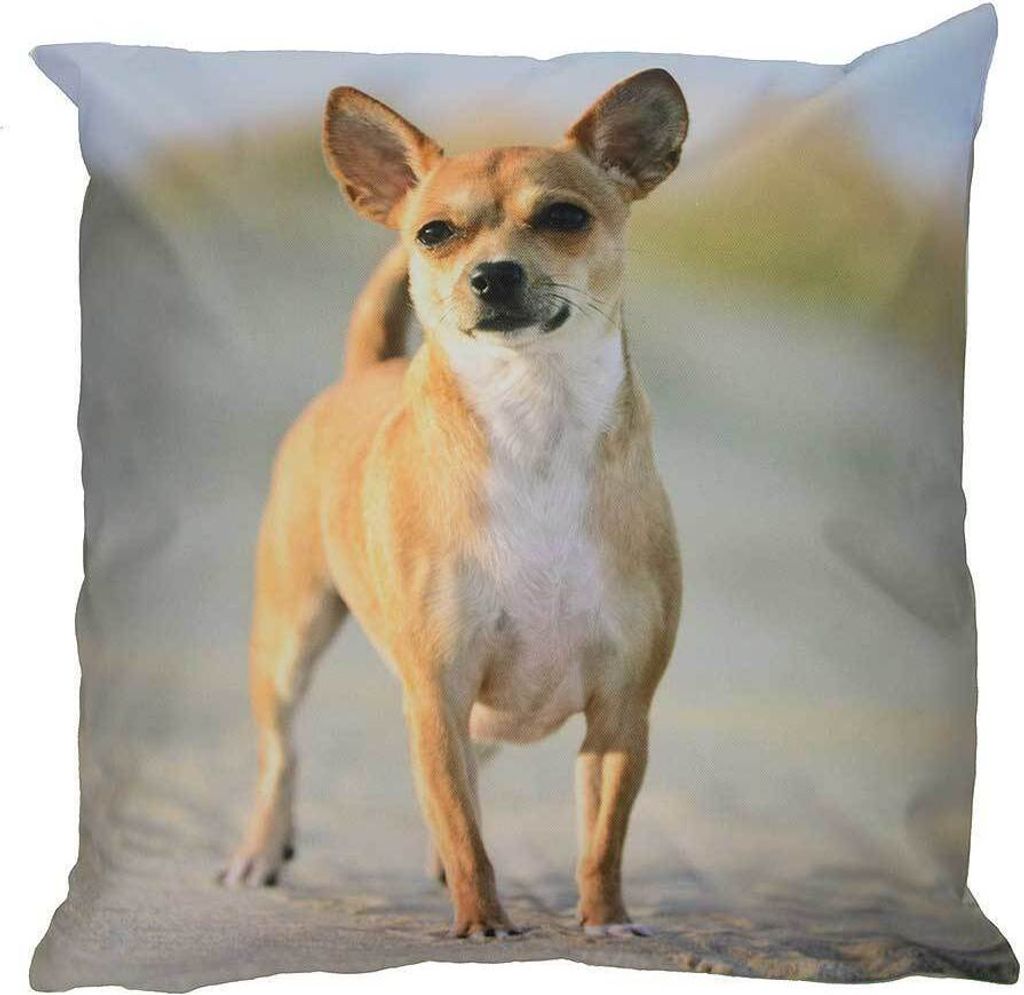 Outdoor Kissen Hundemotiv Gartenkissen Hund Welpe Produktbild 