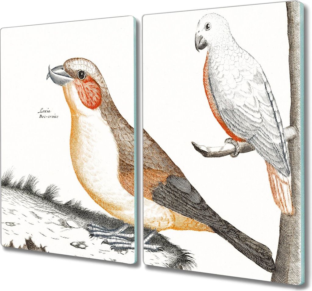 Coloray Hackbrett Küchenbrett Kochplattenabdeckung Schneidebrett Herdabdeckplatte 2x30x52 cm - Tiere Vögel