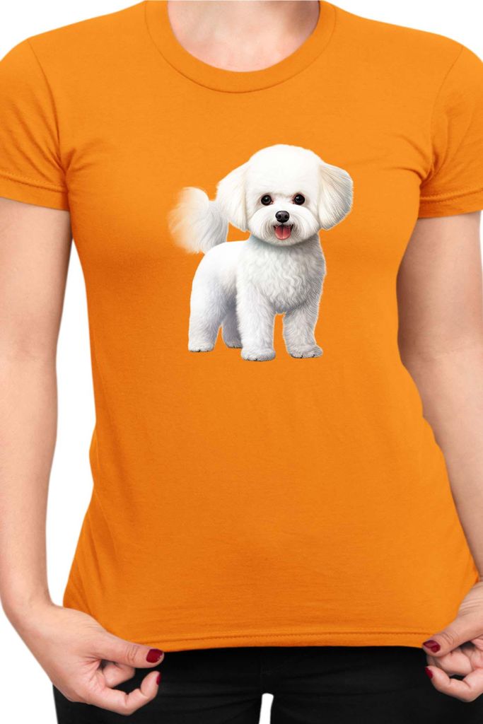 Damen T-Shirt Dogs Breeds Bichon Frise Dog Breed 005, Lady XL / Orange