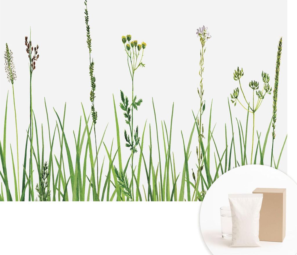 Fototapete - Wandbilder für Wohnzimmer - 312x219 cm - Dekorative Wandfolie - Modernes Design für Wanddekoration - Tapeten für Innenräume - Zart...