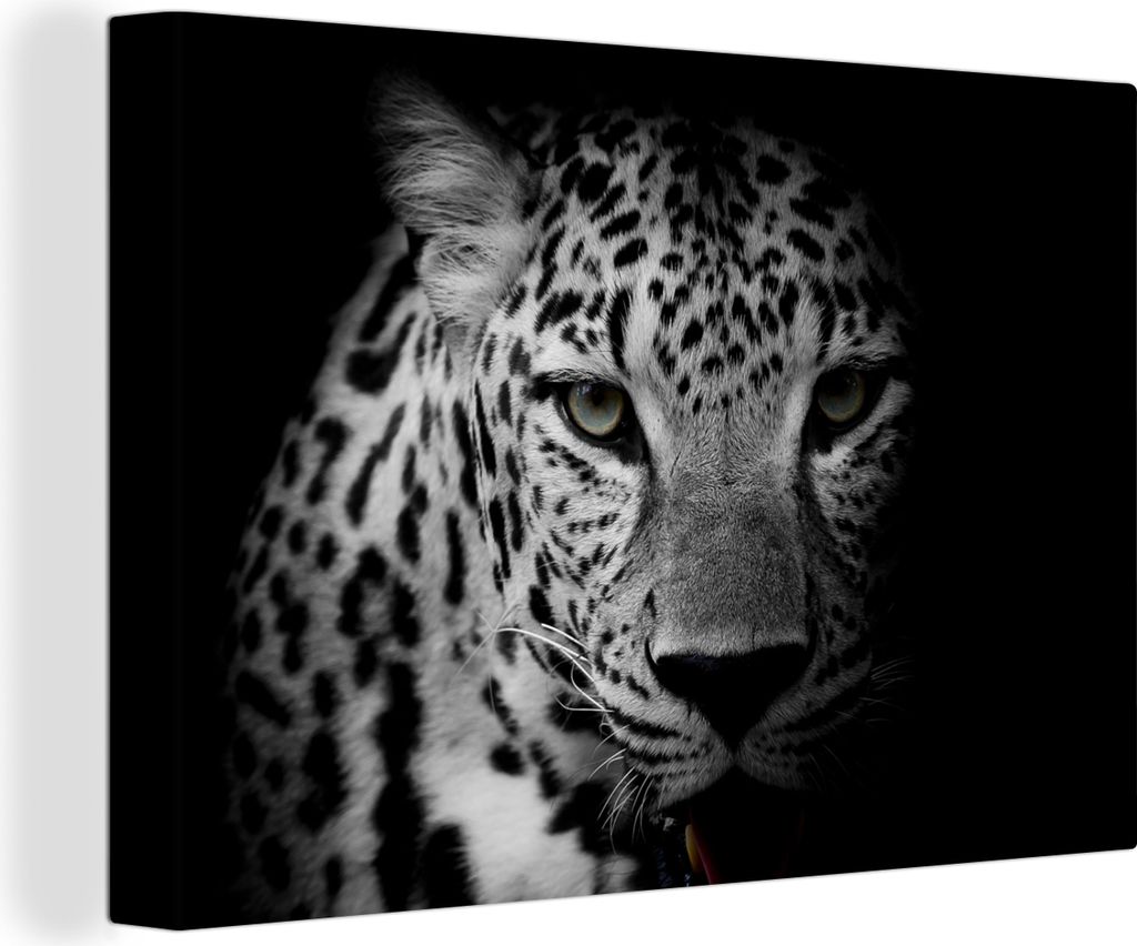 OneMillionCanvasses - Leinwandbilder - 150x100 cm, Tiere - Schwarz - Weiß - Panther - Porträt, Wandbilder Kunstdruck Wanddekoration - Foto auf ...