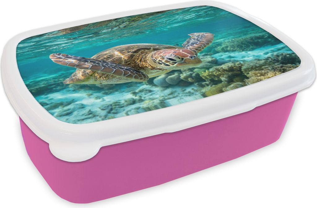 KitchenYeah Lunchbox Brotzeit Brotdose 17x11 cm Eine Schildkröte schwimmt unter Wasser in Bodennähe Kinder Brotzeitdose - Lunchpaket - Brotkast...