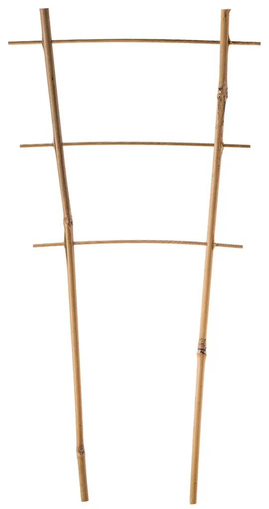 Treillis échelle en bambou 45 cm pour pot et jardinage - Lot de 10