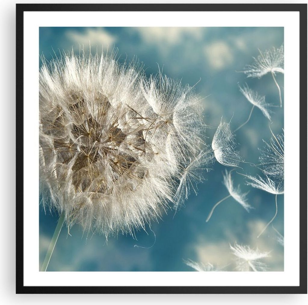 Gerahmtes Poster - Schwarzer Rahmen - Baby Sommer Pflanze - 60x60 cm - Wand Bild - Wanddeko - Wandbilder - Kunstposter - Wandposter - Bilderrahmen ...