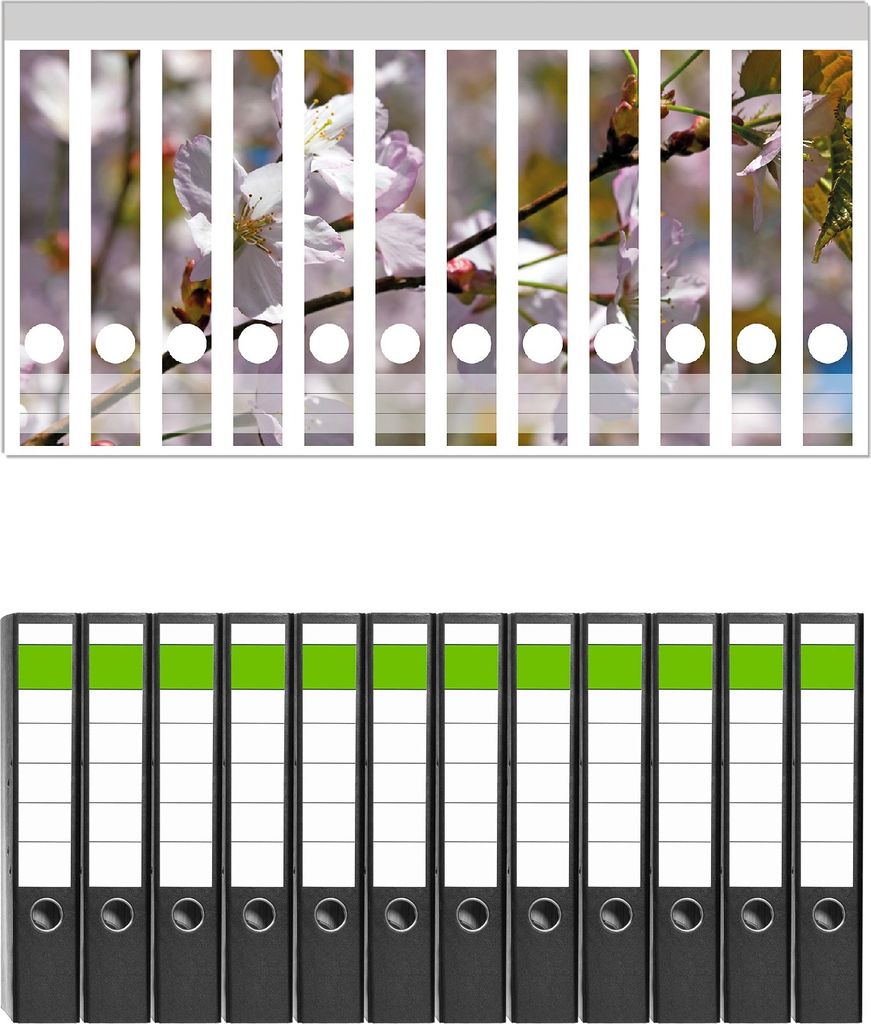 Wallario 12 Stück schmale Ordner inkl. Klebeetiketten mit Motive Kirschblüten in zartem Rosa - Frühling im Garten - Set mit Rückenschildern / ...