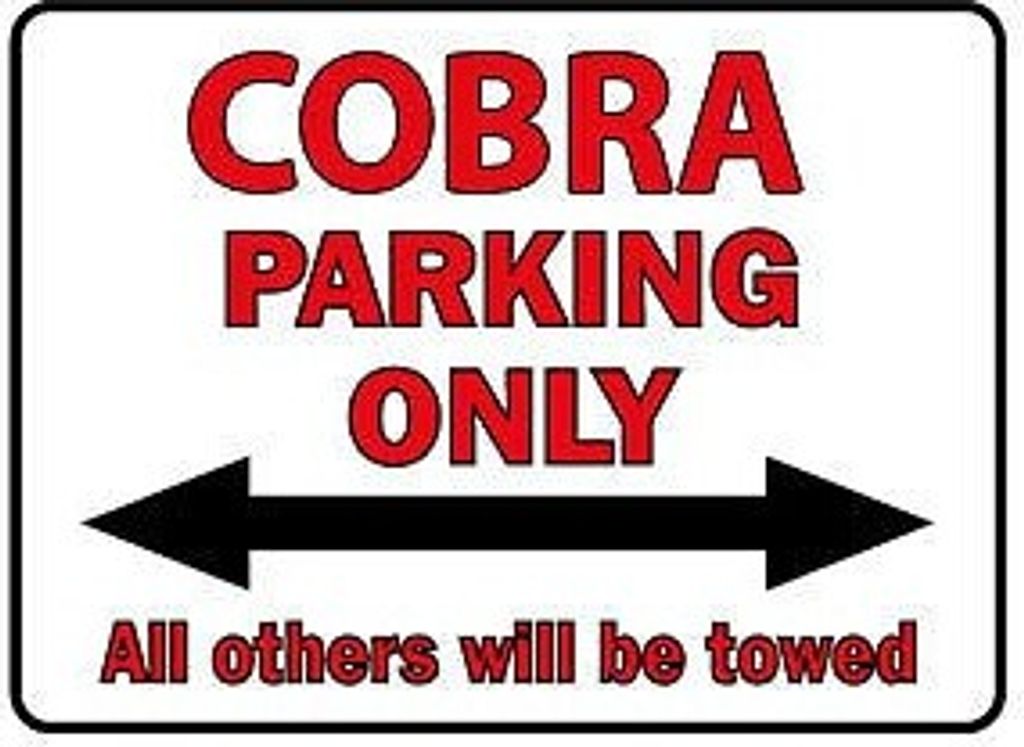 Parkschild - Cobra Parking Only - 308835 - Gr. 40 x 30 cm