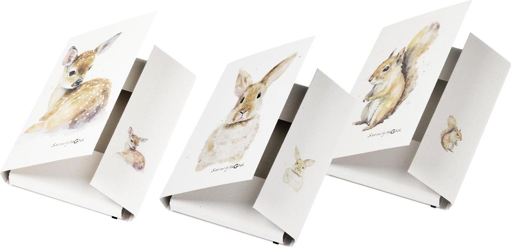 Pagna Sammelbox A4 Save me No.4 Gummizugverschluss sortiert Produktbild 
