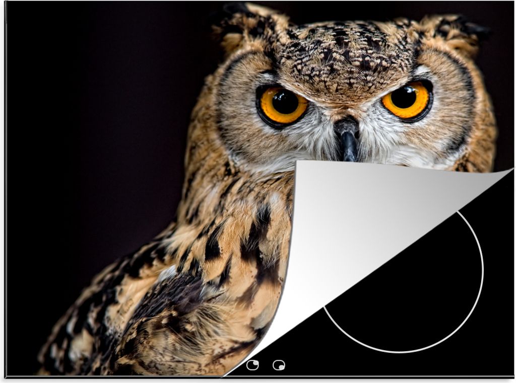 KitchenYeah Herdabdeckplatte Ein bengalischer Uhu auf schwarzem Hintergrund. , 59x52cm, Küche Deko, Glaskeramikfeld Herdabdeckung, Abdeckplatte ...