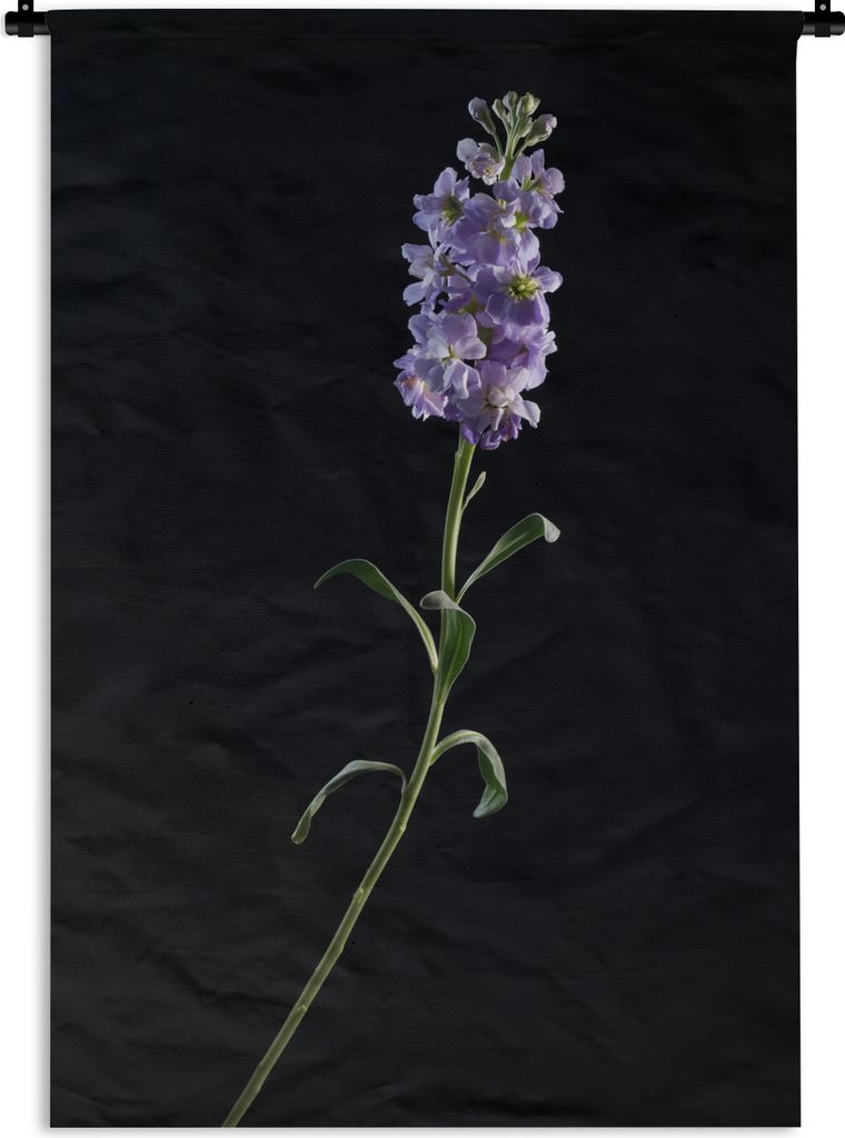 MuchoWow Wandteppich Wandbehang Ein Veilchen auf schwarzem Hintergrund 90x135 cm Tapisserie Dekoration Wandtuch - Baumwolle - Wandskulptur