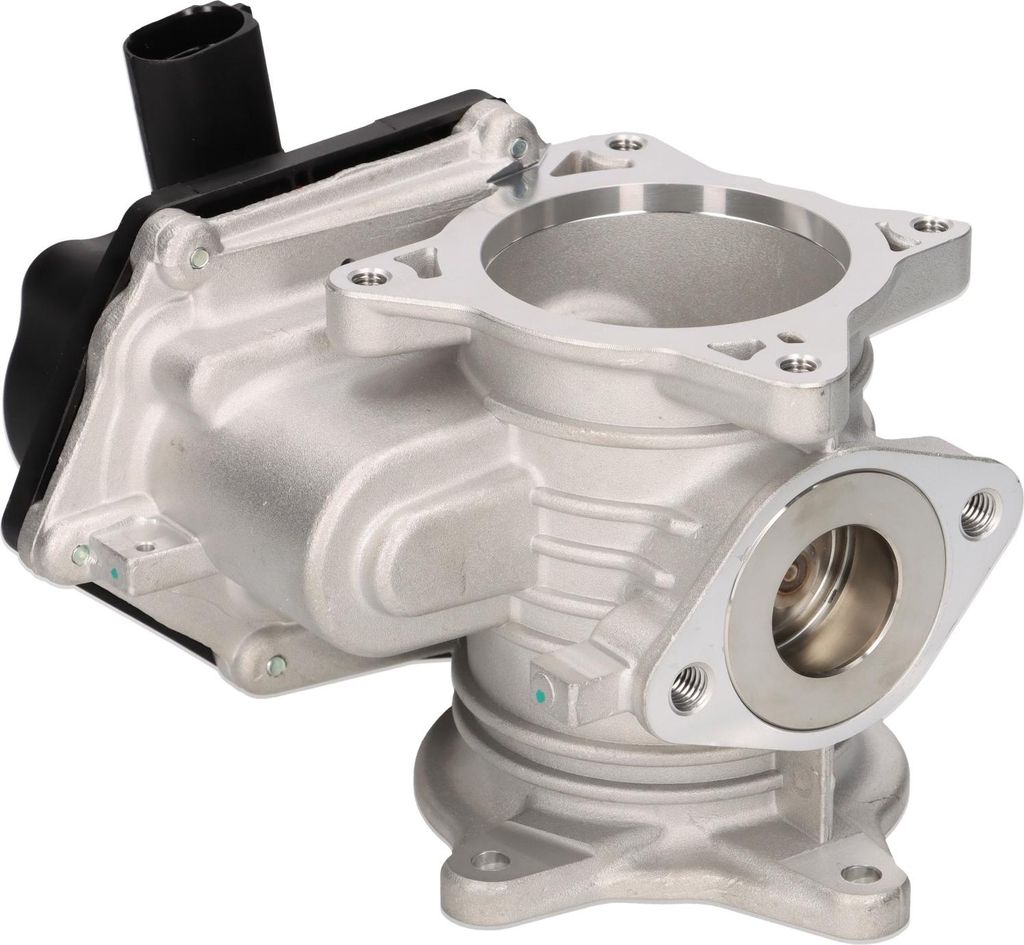 PIERBURG 7.24809.93.0 AGR-Ventil mit Dichtung für VW Produktbild 