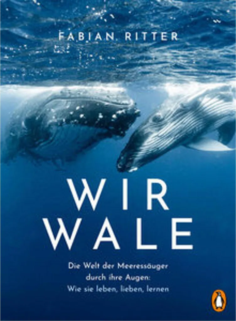 Wir Wale Jeu de Société Stratégique et Éducatif sur les Baleines Bleues