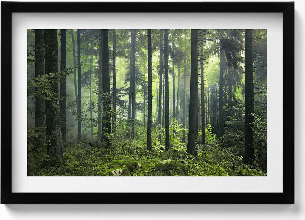 Landschaft mit Bäumen und Vegetation in einem Wald– Wandbild mit Rahmen – Gerahmtes Bild – Wanddekoration – 60x40 cm – Schwarz Rahmen