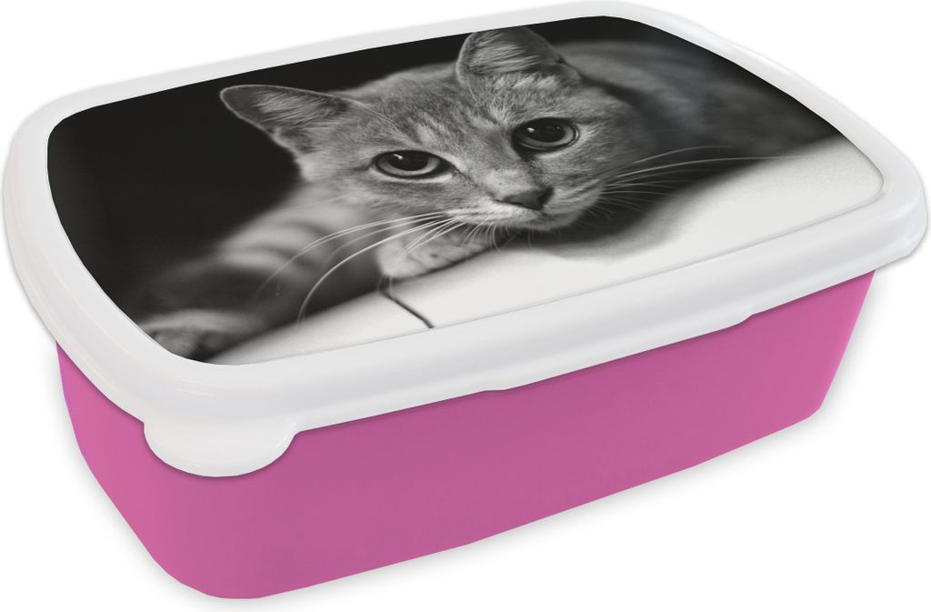 KitchenYeah Lunchbox Brotzeit Brotdose 17x11 cm Katze mit großen Pupillen im Nahbereich - schwarz-weiß Kinder Brotzeitdose - Lunchpaket - Brotk...