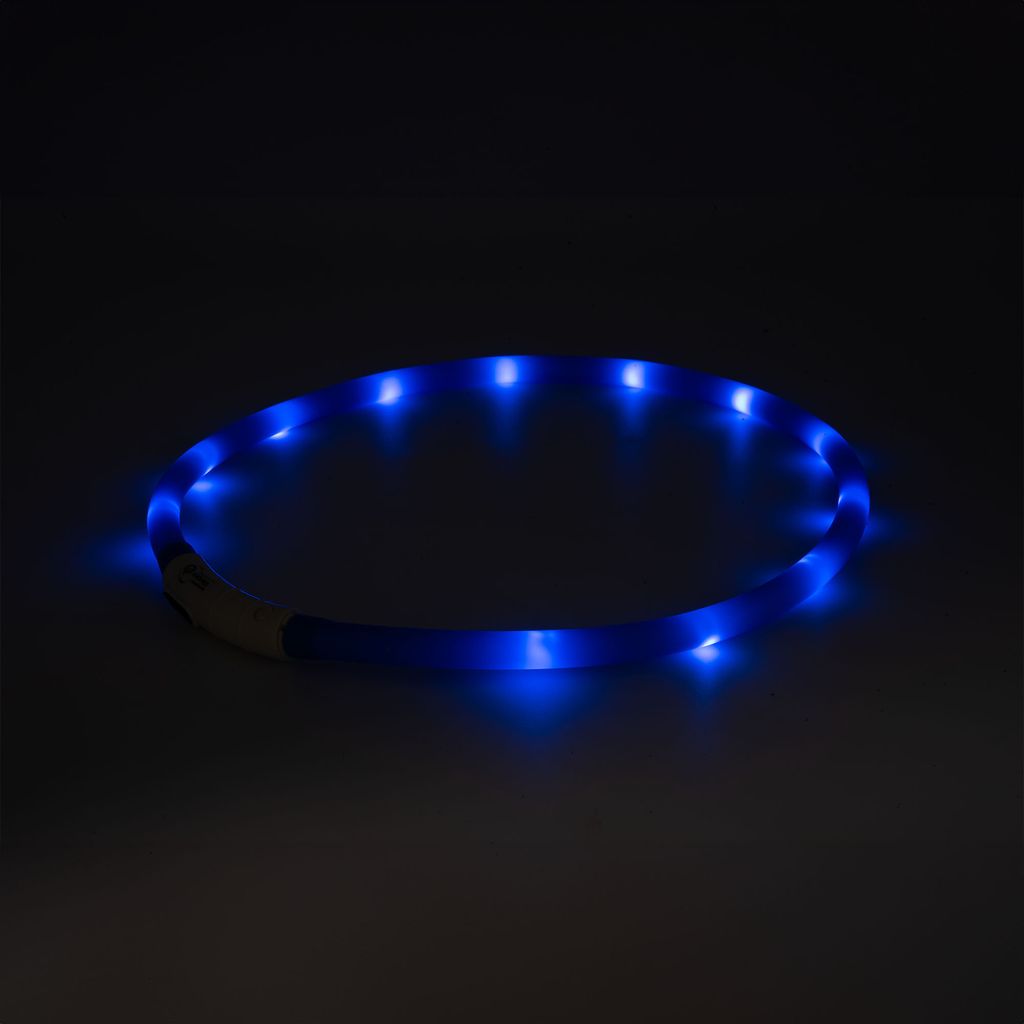 Hundehalsband LED Blau Leuchthalsband Leuchtband Produktbild 3