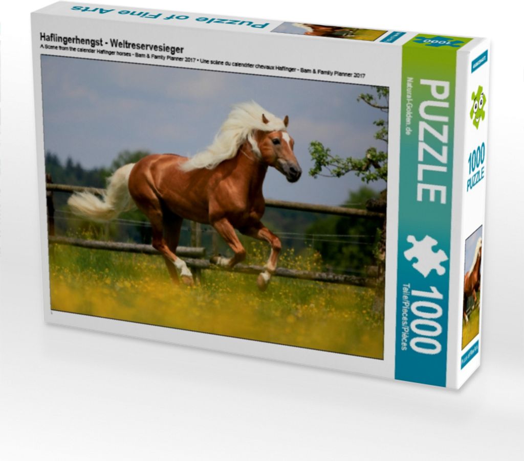 Calvendo Haflingerhengst - Weltreservesieger 1000 Teile Puzzle quer 640x480mm, CALVENDO; 7362813